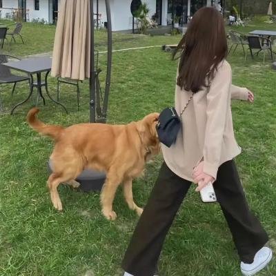 不得不爱第二季