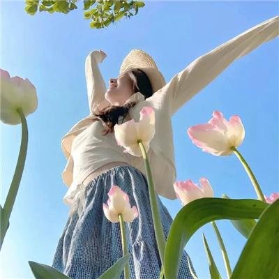 秦时明月之君临天下